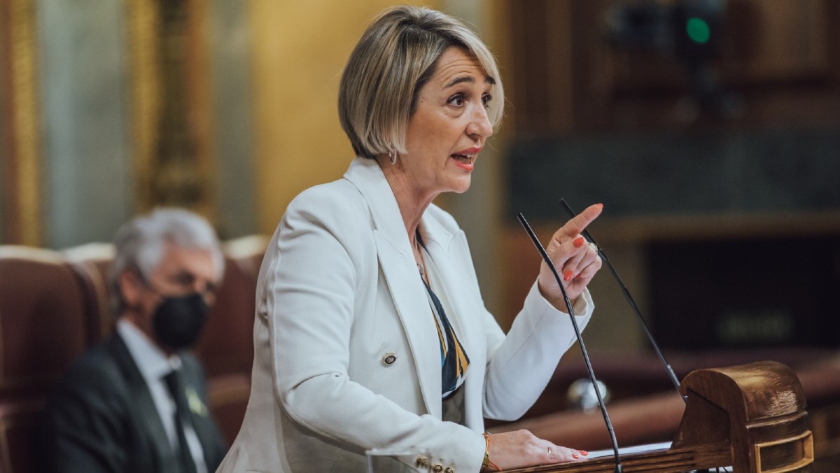 Inés Cañizares en la tribuna del Congreso