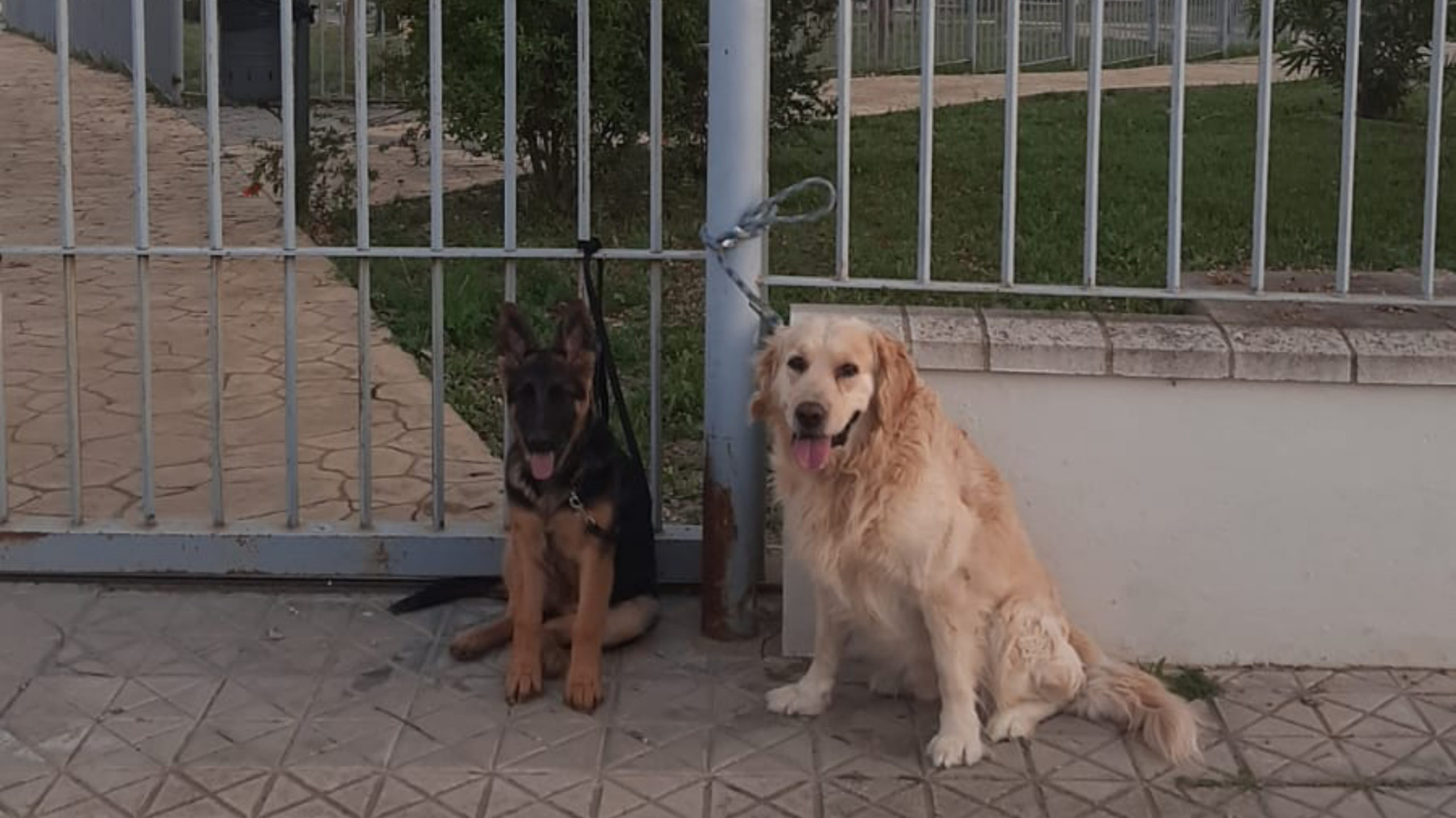 Ampliación horarios parques de mascotas de Salteras