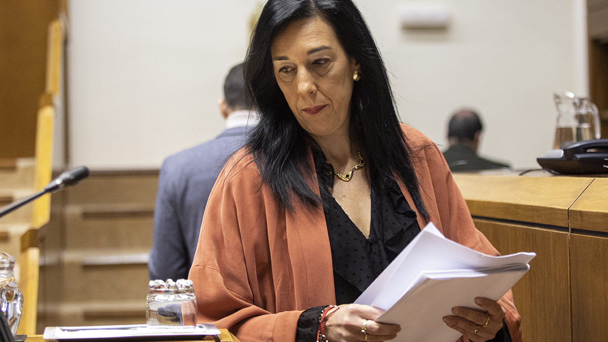 Amaia Martínez en el Parlamento Vasco