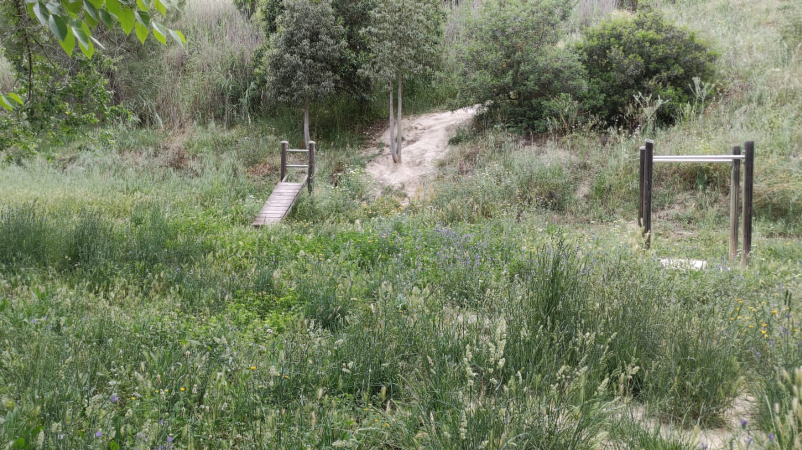 Zona verde de Salteras abandonada