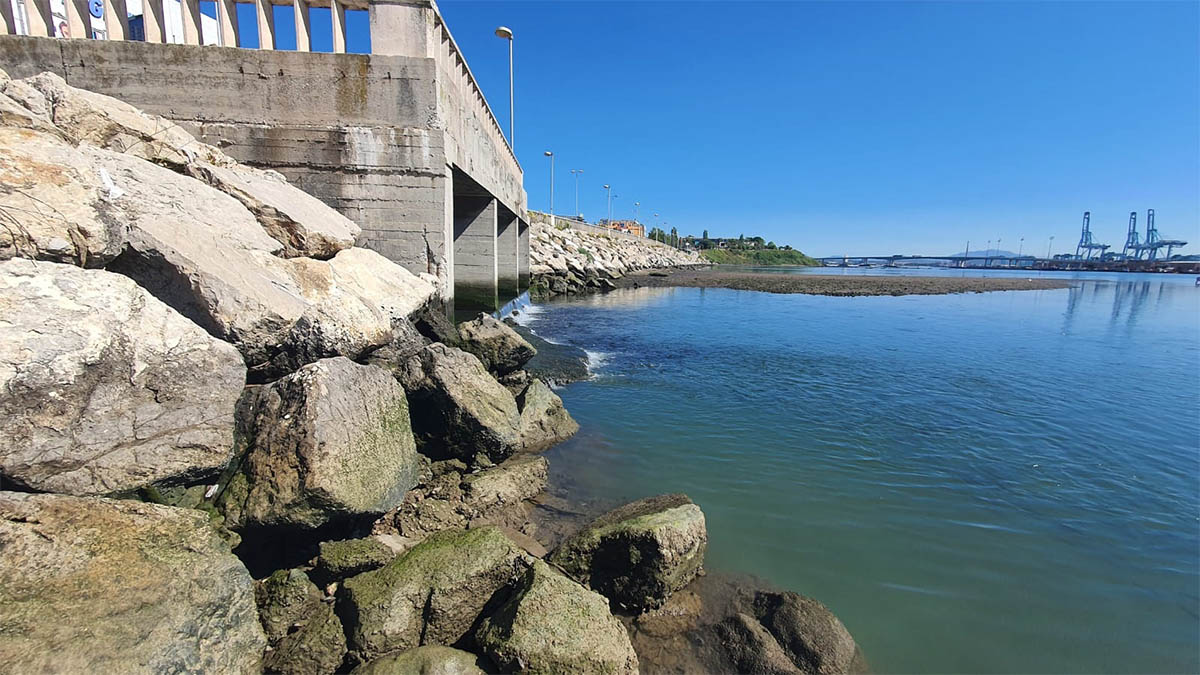 fecales Algeciras