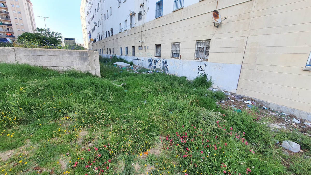 saladillo Algeciras