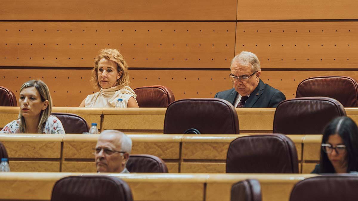 Yolanda Merelo, en el Senado