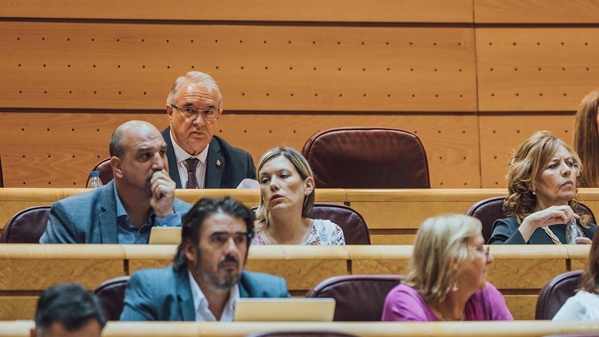 José Manuel Marín, en su escaño del Senado