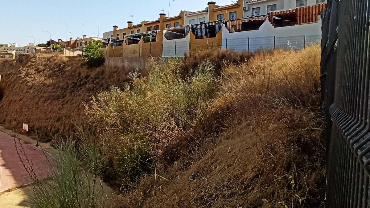 Estado de abandono terraplén Urbanización Los Caleros, de Alcalá de Guadaíra