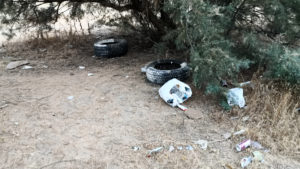 Imagen de demuestra la degradación y abandono del Parque Puente Verde, de Los Palacios, por parte del Gobierno de IU