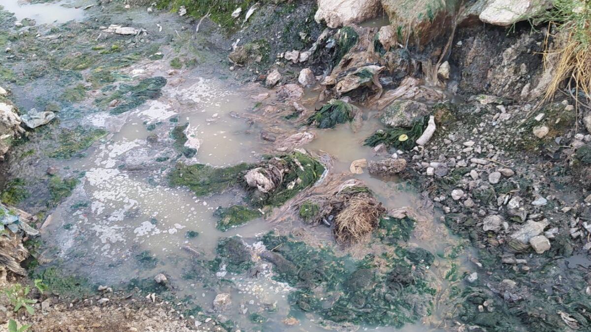 Vertidos en La Envía