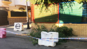 Rama de gran porte desprendida junto al colegio Príncipe Felipe de Umbrete