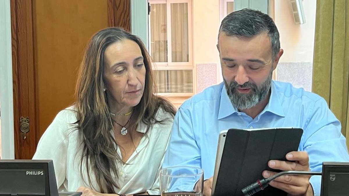 VOX pedirá un consejo