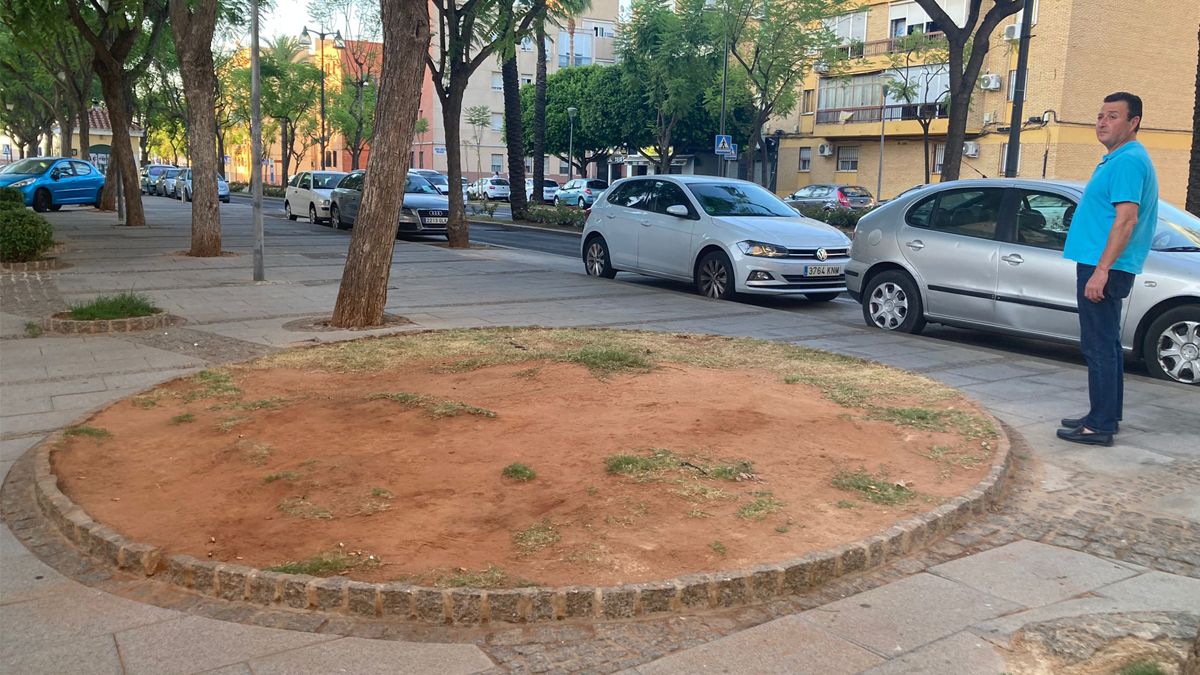 Nuevo engaño del Gobierno del PSOE en Alcalá de Guadaíra con un plan de reforectación `fake`en la zona norte