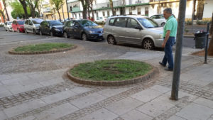 Nuevo engaño del Gobierno del PSOE en Alcalá de Guadaíra con un plan de reforectación `fake`en la zona norte