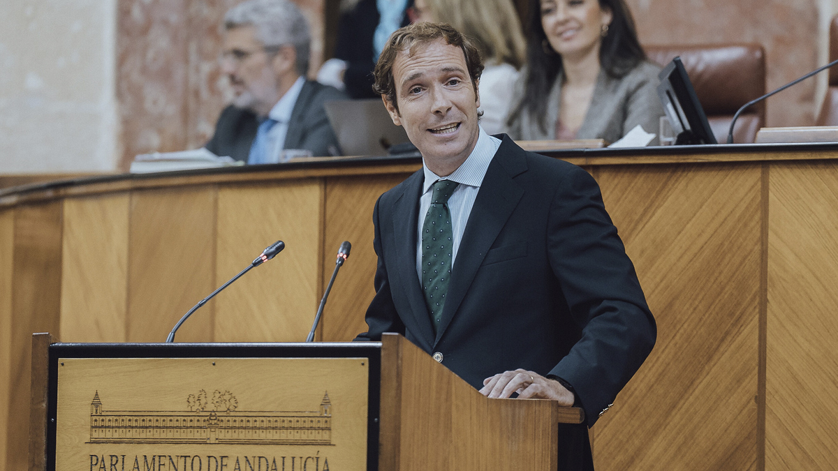 Javier Cortés, portavoz adjunto del Grupo Parlamentario VOX en el Parlamento de Andalucía