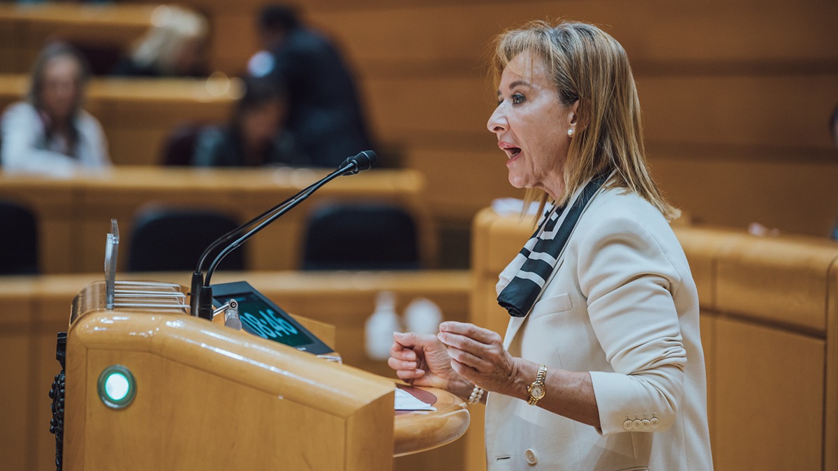 Yolanda Merelo, en el Pleno del Senado