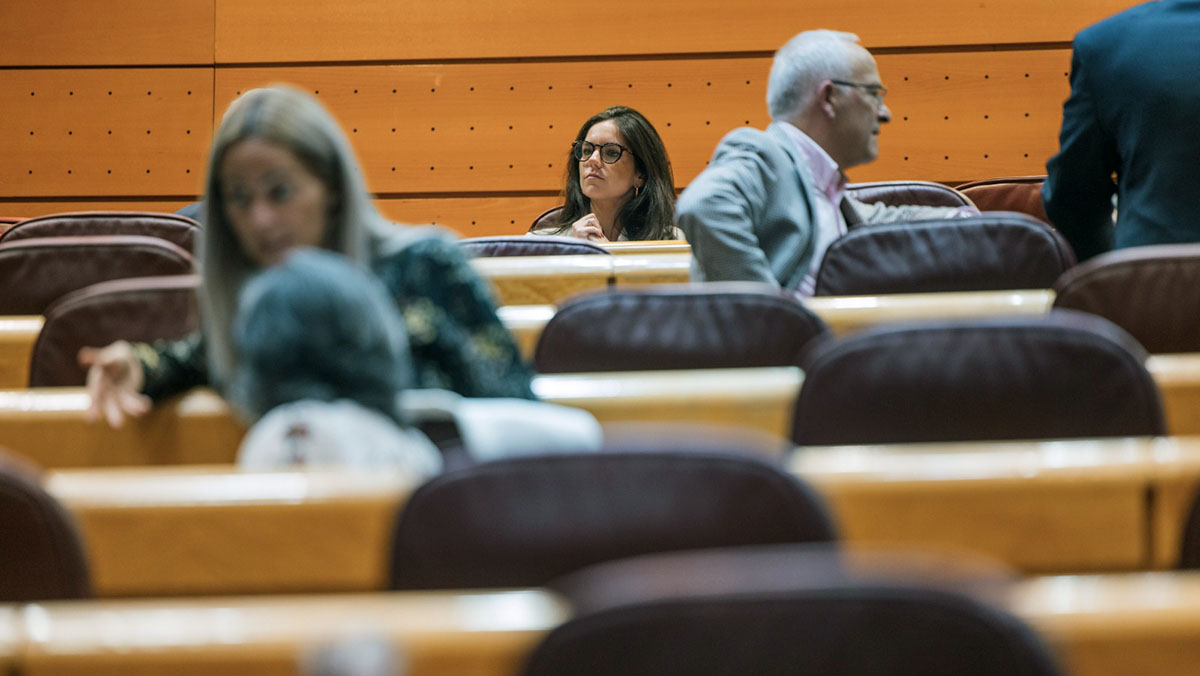 Pepa Millán, en el Pleno del Senado