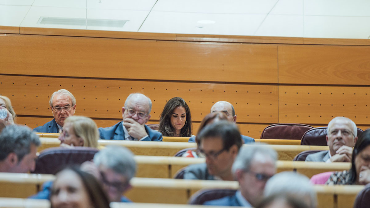 Pepa Millán, asiste al Pleno del Senado
