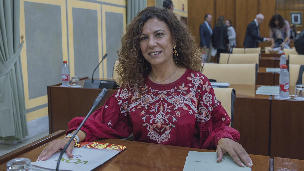 Ana Ruiz, diputada Grupo Parlamentario VOX en el Parlamento de Andalucía por Sevilla