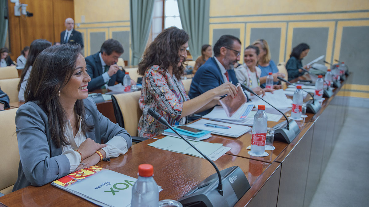 Comisión de Igualdad Junta de Andalucía