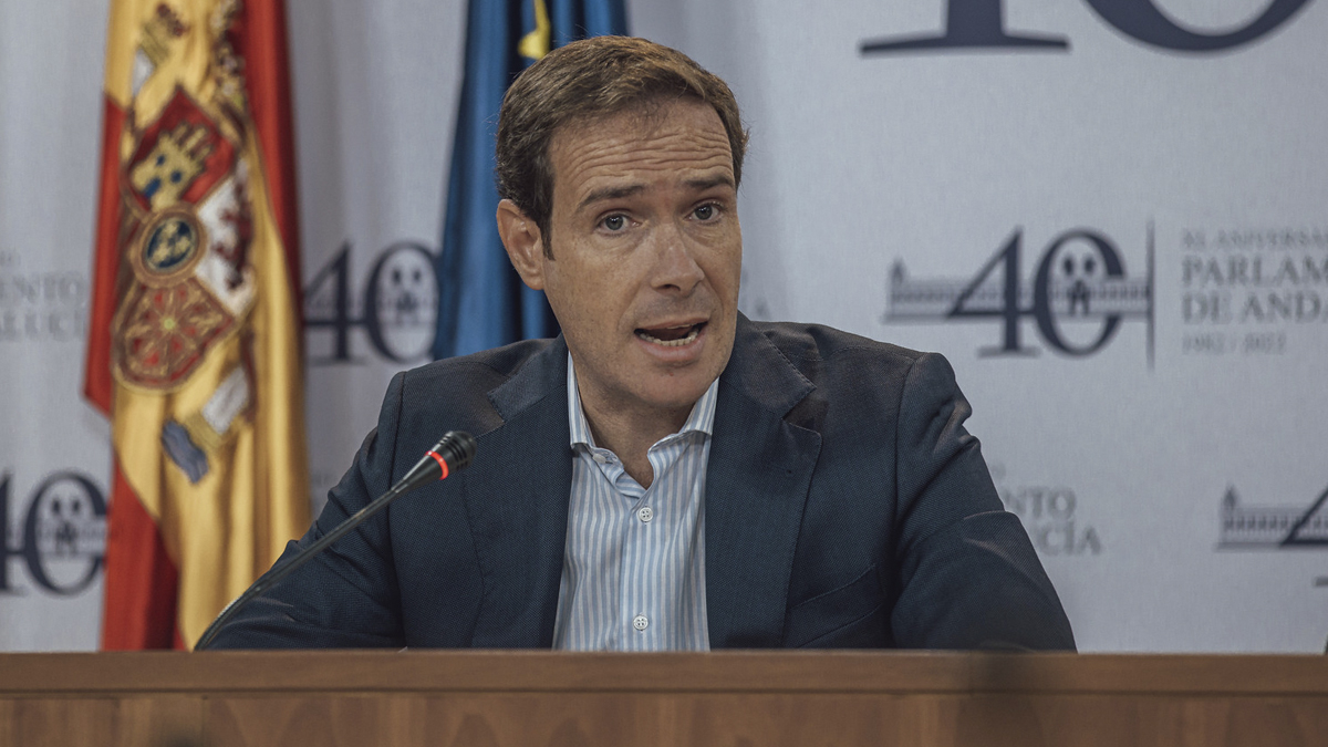 Javier Cortés, portavoz adjunto del Grupo Parlamentario VOX en el Parlamento de Andalucía