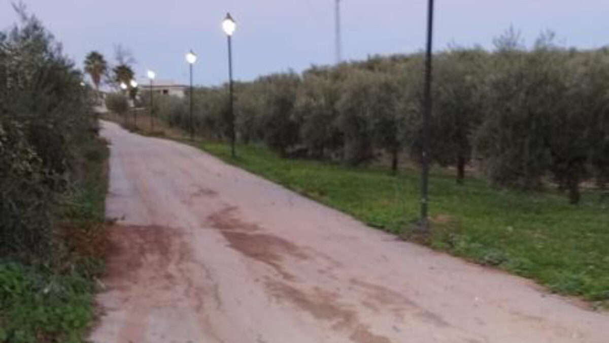VOX insiste en la dejadez