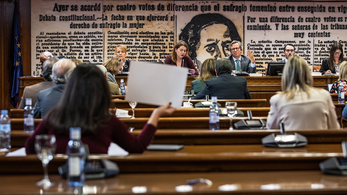 Pepa Millán, en el Senado