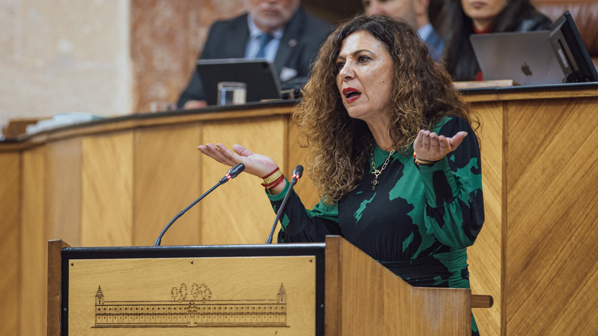 Ana Ruíz, diputado del Grupo Parlamento VOX en el Parlamento de Andalucía por Sevilla