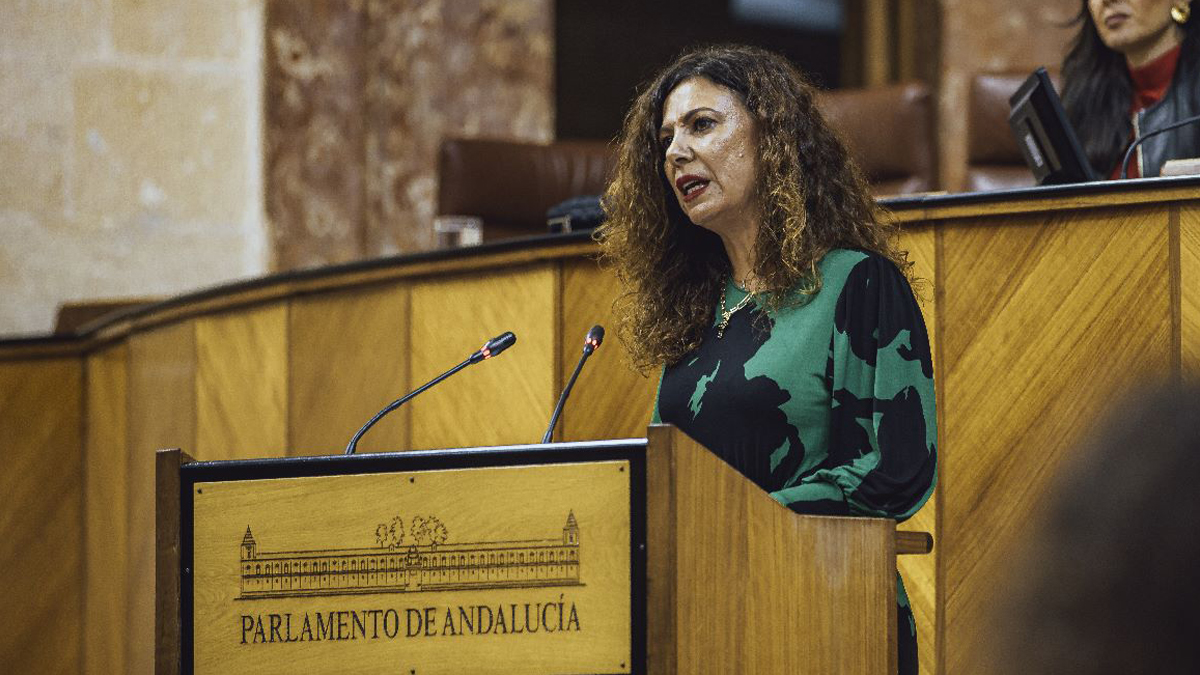 Ana Ruíz, diputado del Grupo Parlamento VOX en el Parlamento de Andalucía por Sevilla
