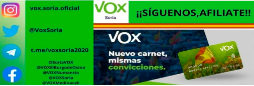 Banner Boletín de Soria