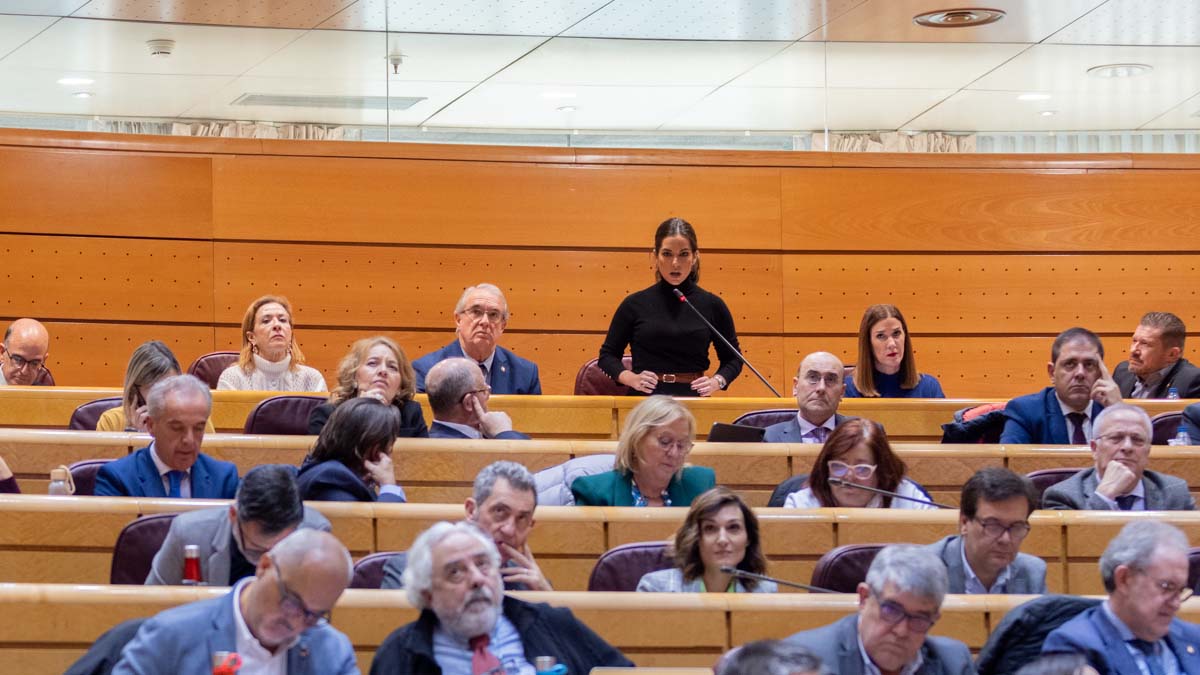 Pepa Millán, en el Senado de España.