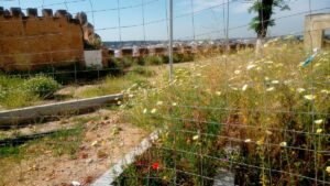 Detalle del estado de abandono y vandalización del Castillo de Alcalá de Guadaíra, en Sevilla