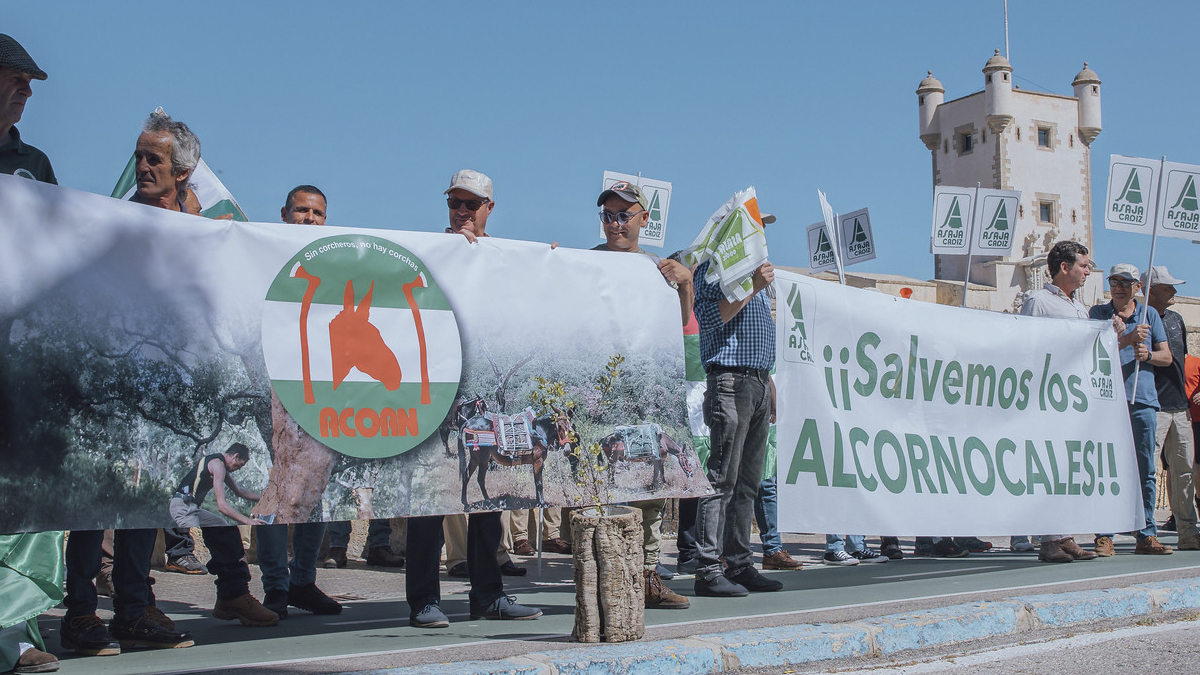 Manifestación en defensa del Parque Natural de Los Alcornocales, en Cádiz
