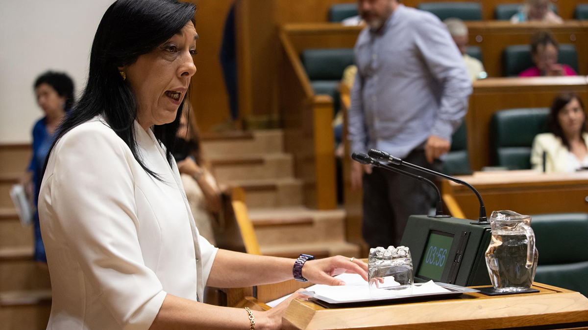 Amaia Martínez, Parlamento Vasco