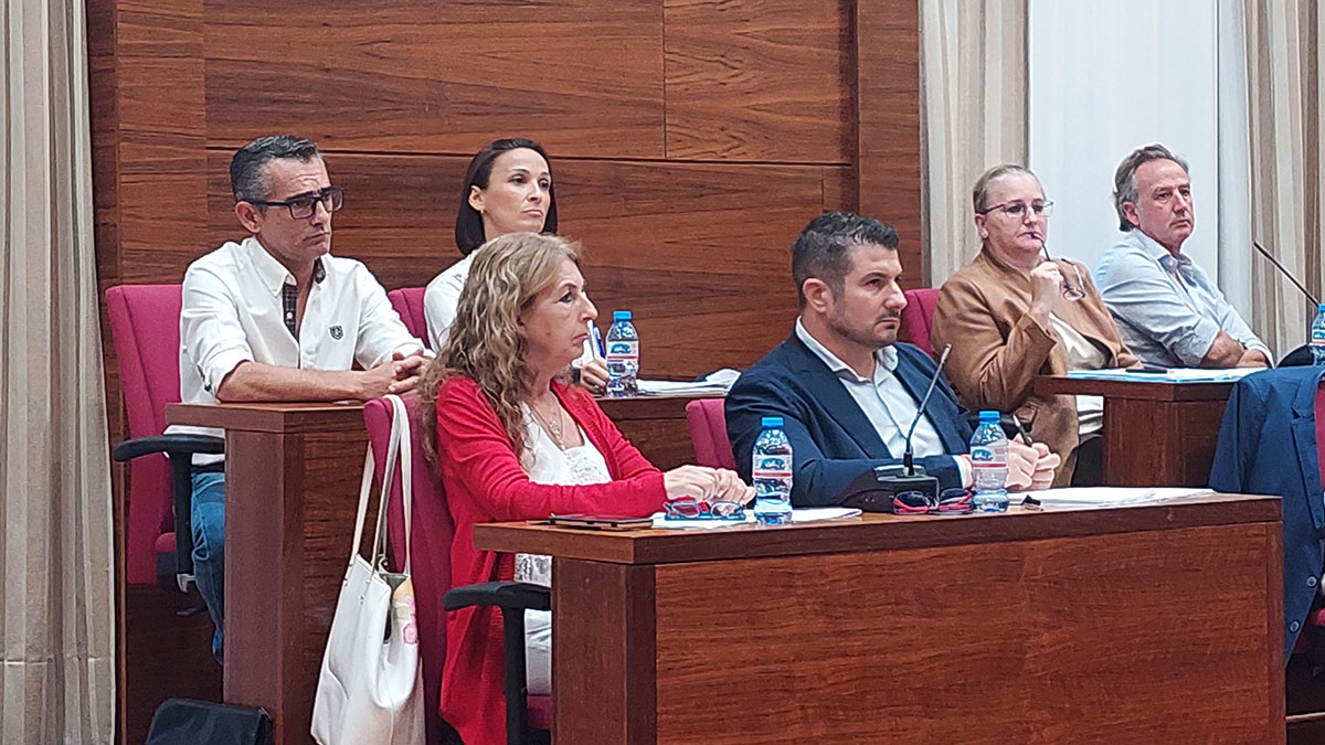 VOX Chiclana Pleno