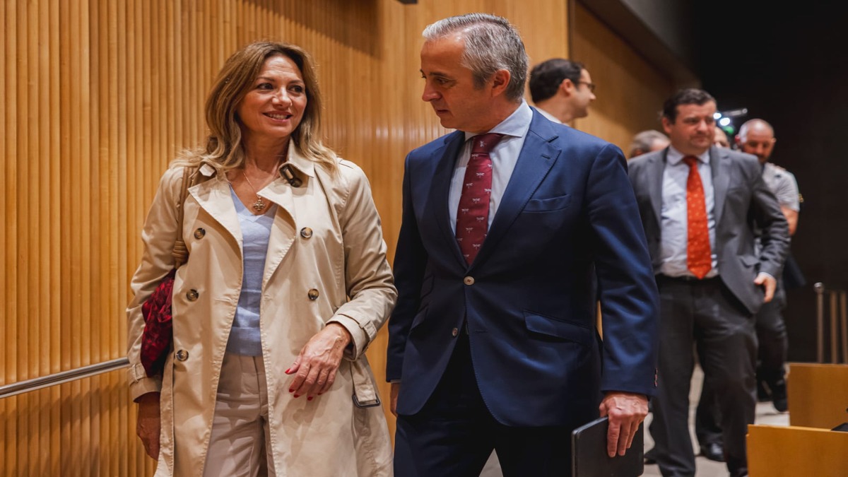 Reyes Romero diputada en el Congreso por Sevilla de VOX