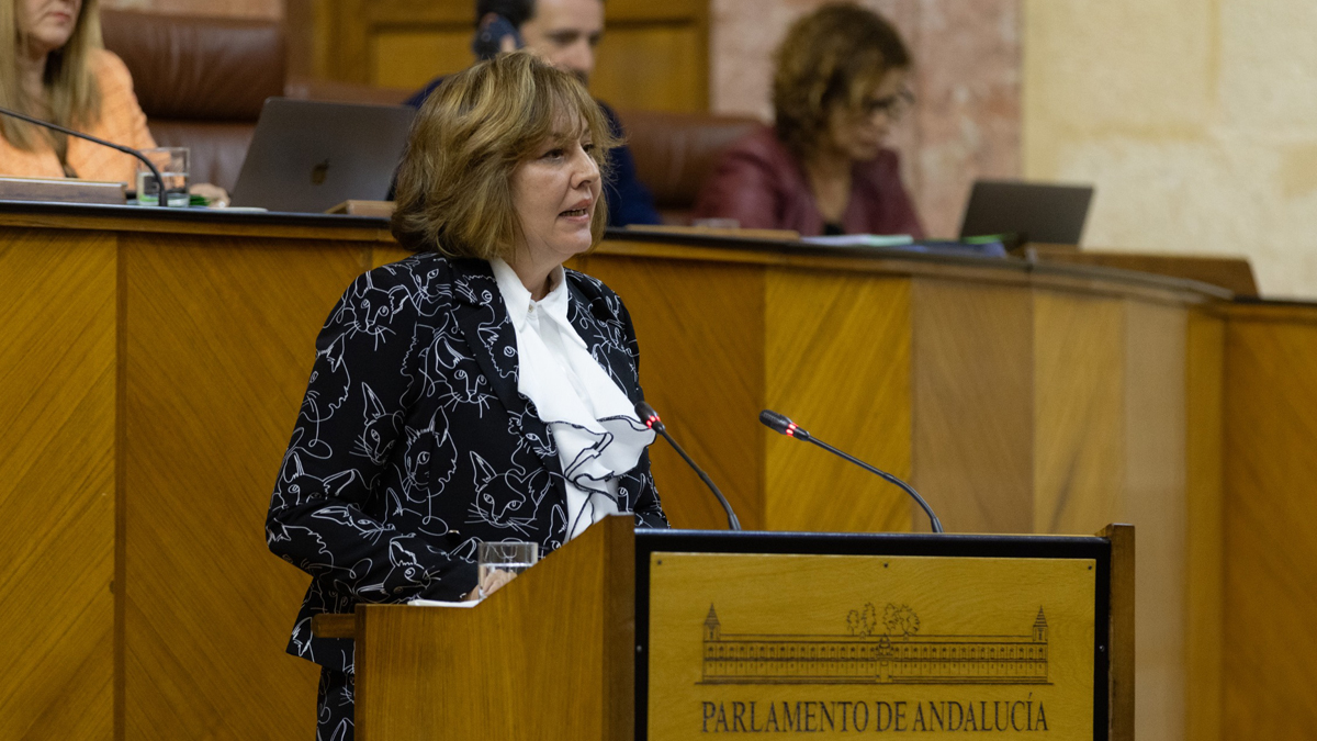 Cristina Jiménez, diputada del Grupo Parlamentario VOX en el Parlamento de Andalucía por Granada