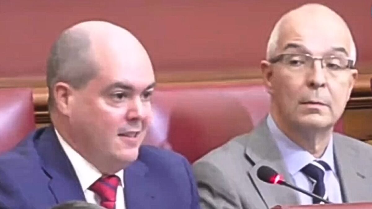 Alejandro Gómez y Luis Sosa concejales de VOX en el Ayuntamiento de Santa Cruz de Tenerife
