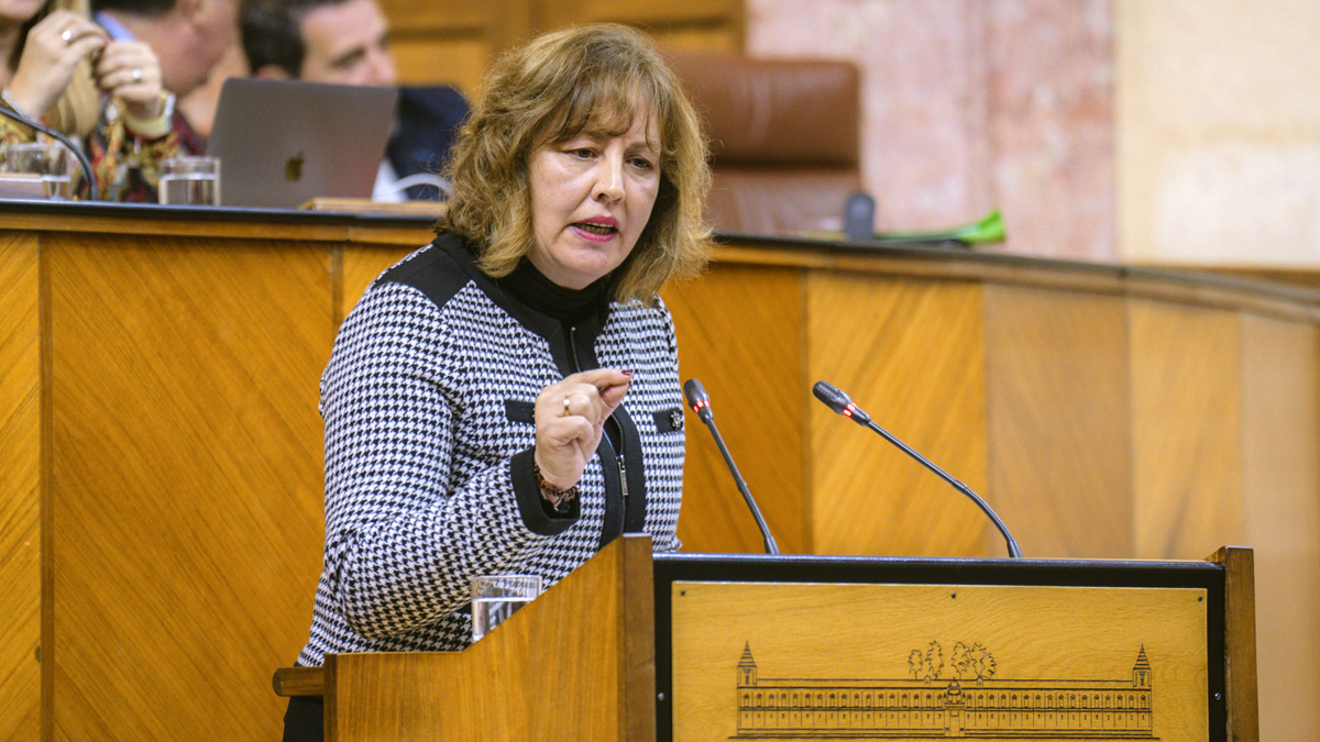 Cristina Jiménez, diputada del Grupo Parlamentario VOX en el Parlamento de Andalucía por Granada