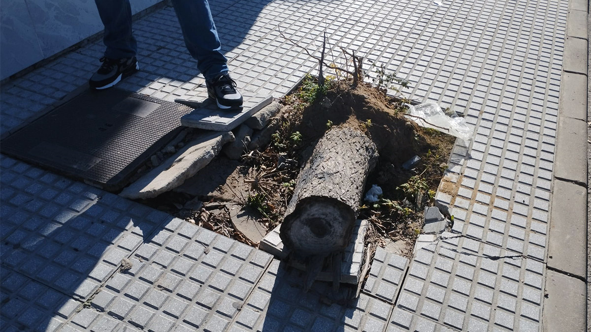 Chipiona