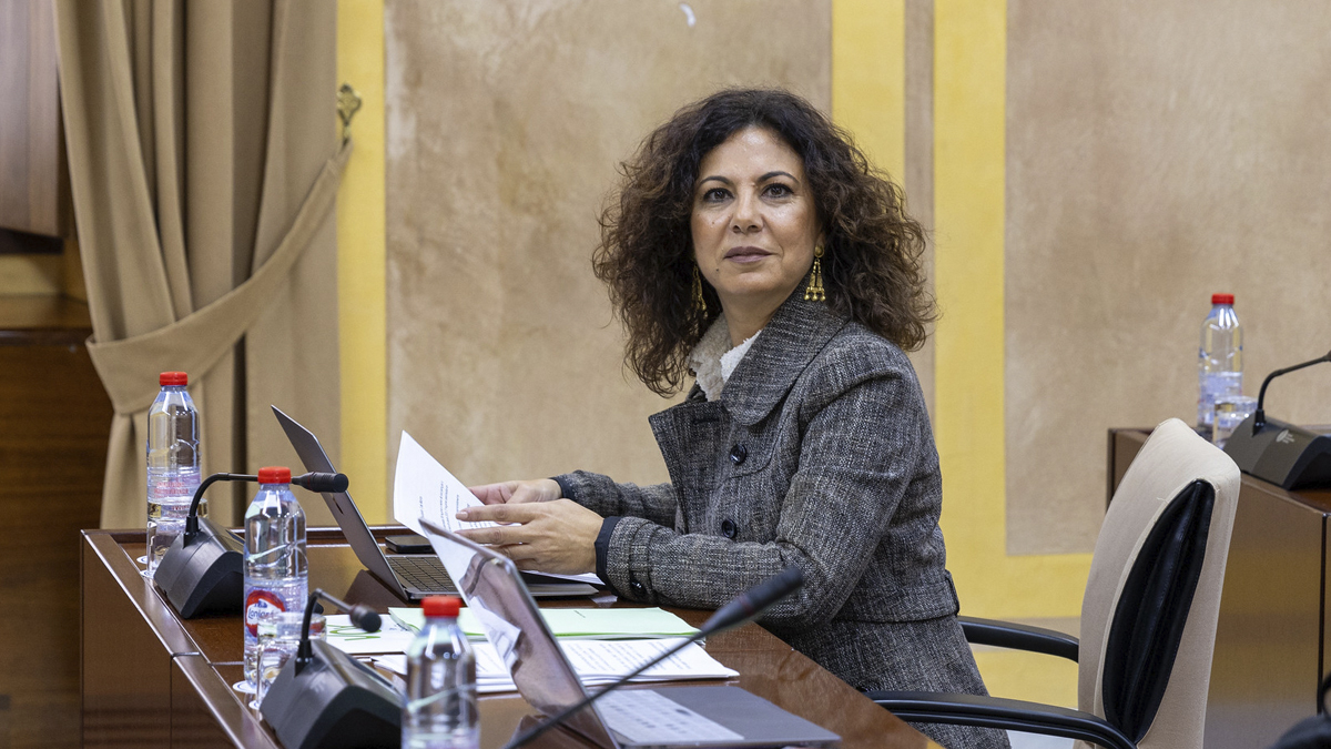 Ana Ruíz, diputada del Grupo Parlamentario VOX en el Parlamento de Andalucia por Sevilla