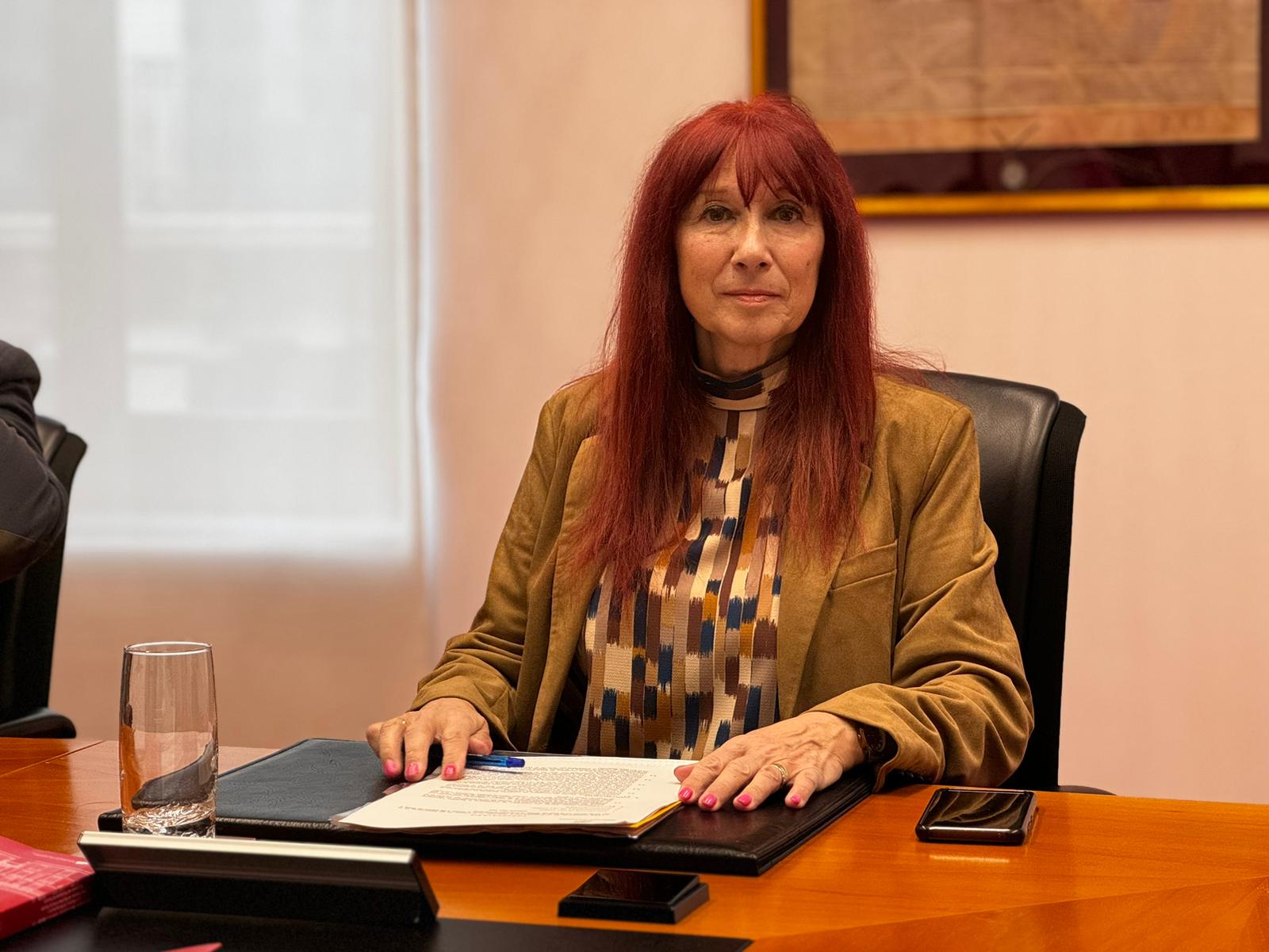 VOX tilda el debate de presupuestos de Navarra de “caricatura democrática”