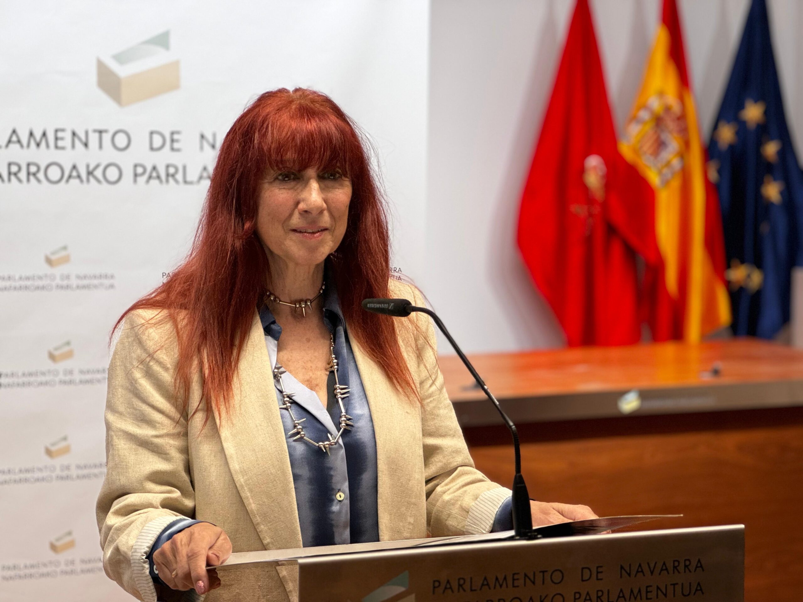 VOX llevará a pleno una iniciativa para que Navarra haga frente a los efectos negativos de la inmigración ilegal masiva