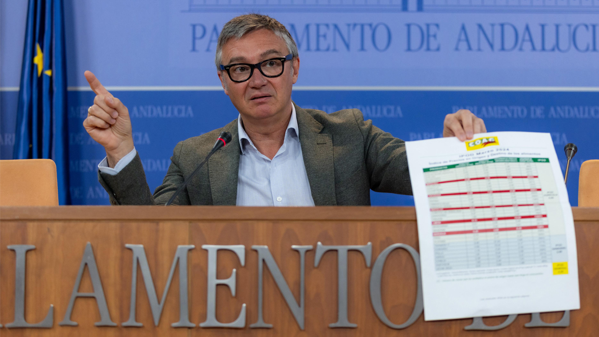Manuel Gavira, portavoz del Grupo Parlamentario VOX en el Parlamento de Andalucia