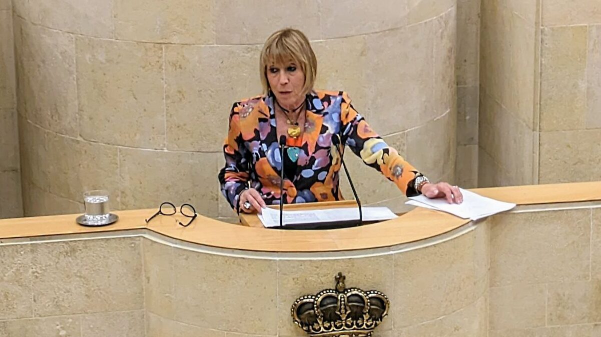 Intervención Natividad Pérez en Pleno