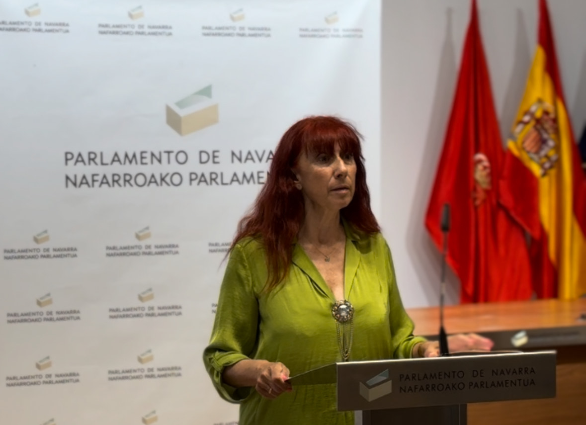 VOX impide una declaración Institucional sobre el orgullo LGTBI del PSOE por culpar a VOX de las agresiones a estos colectivos