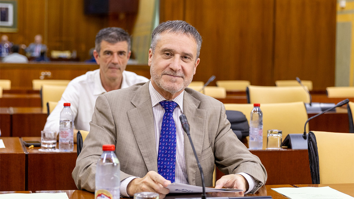 Jose Ortells Cádiz