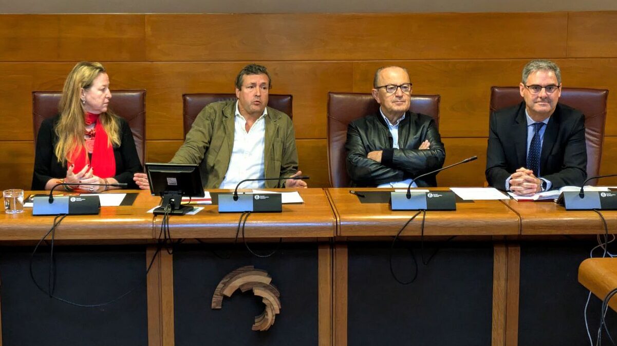 Leticia Díaz en la Comisión de Cultura