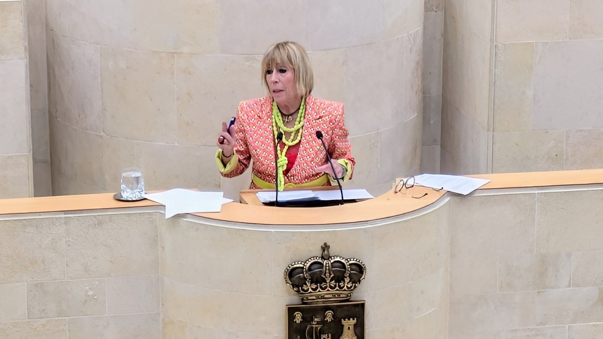 Natividad Pérez en la tribuna del Parlamento