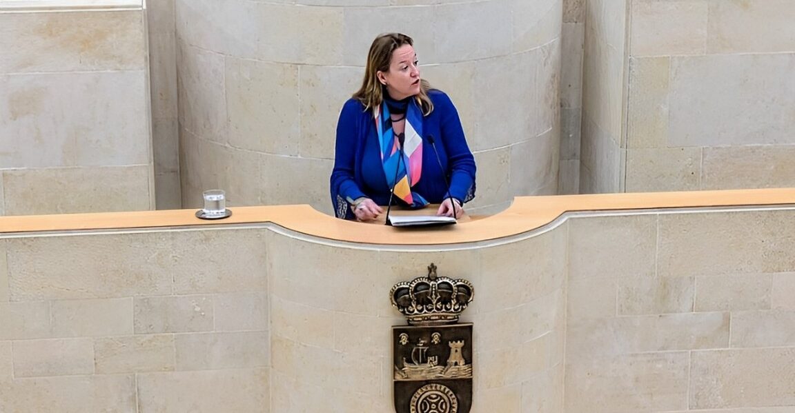 Leticia Díaz en la tribuna del Parlamento