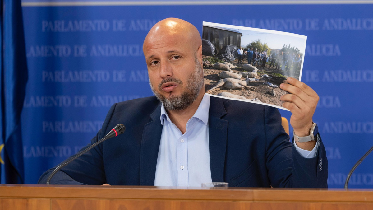 odrigo Alonso, portavoz adjunto de VOX en el Parlamento de Andalucía