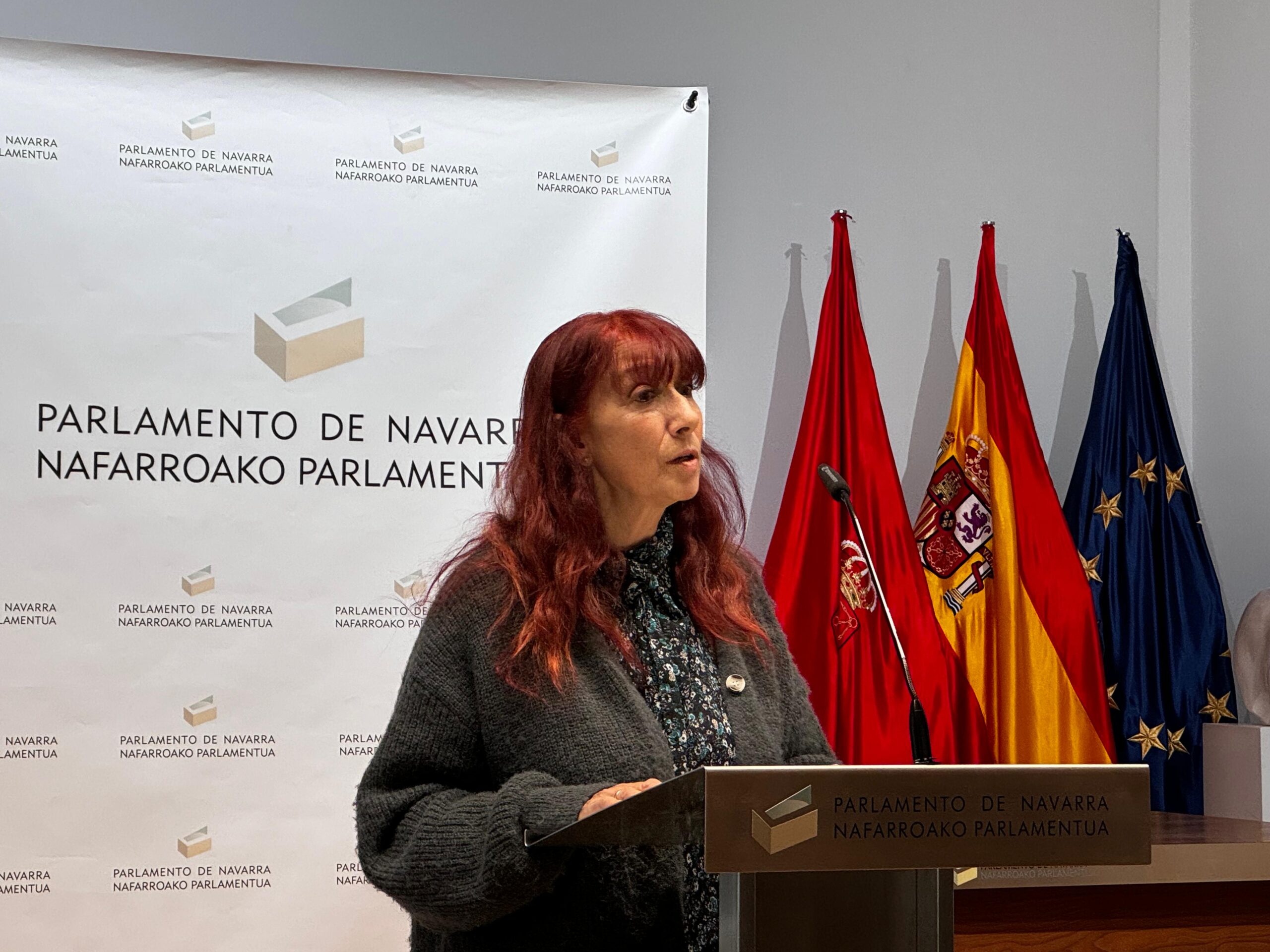 El Parlamento veta la solicitud de comparecencia de VOX para que Irujo explique la presencia del asesino de Ulayar en el consejo de Sunsundegui