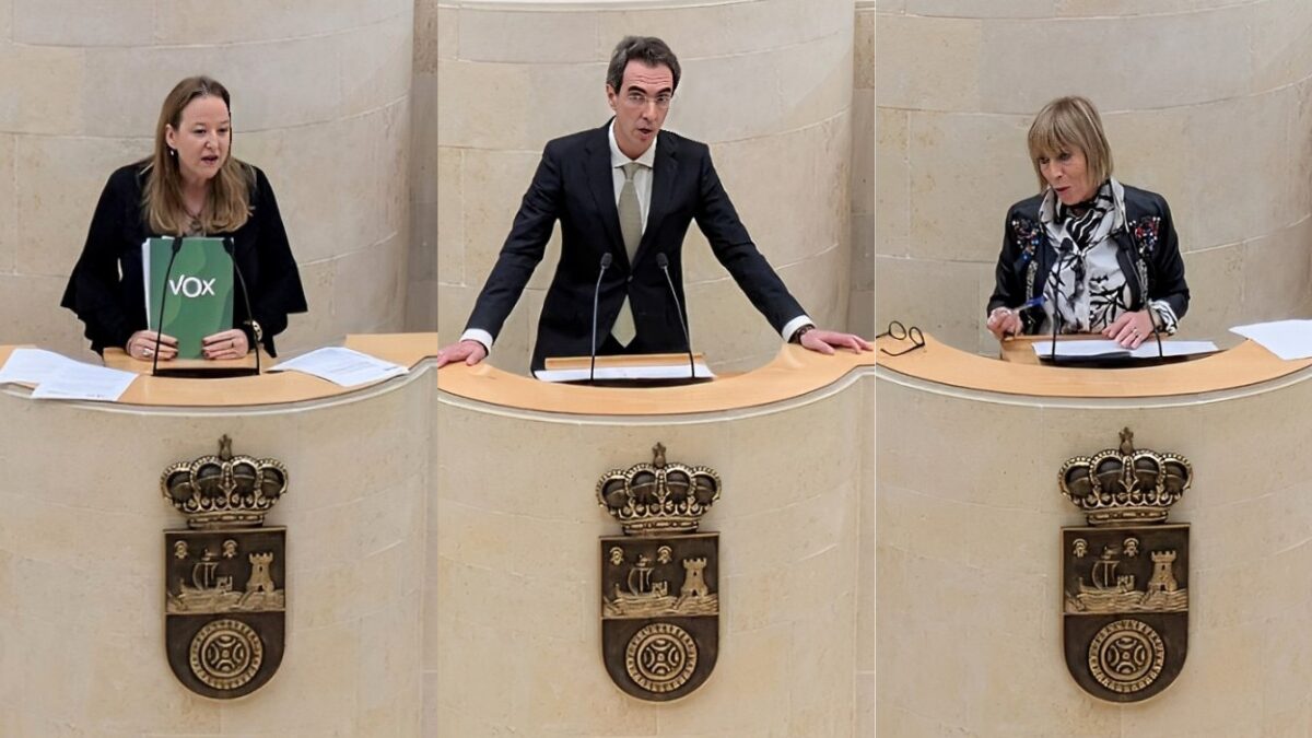 Pleno de iniciativas aprobadas de VOX